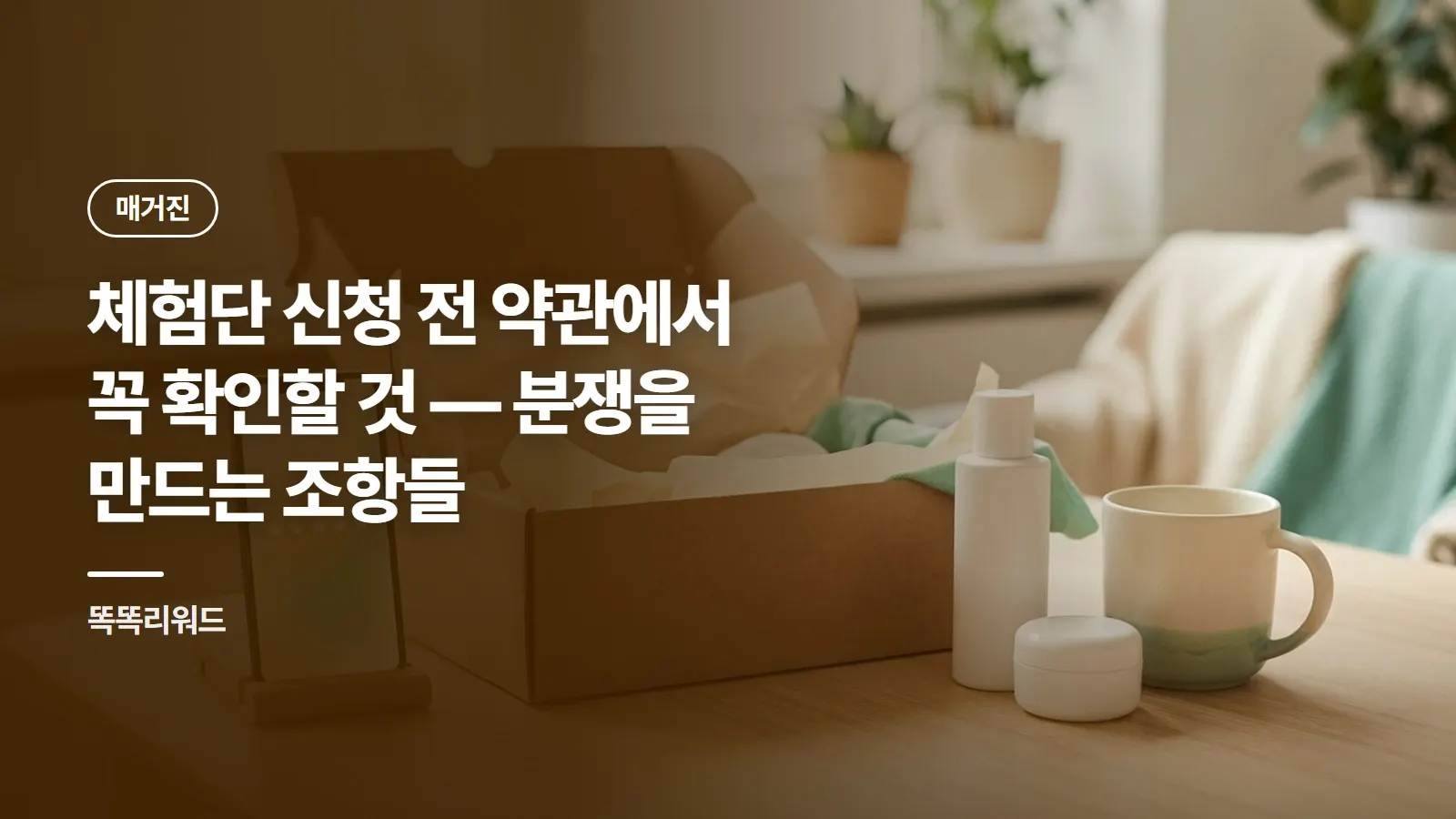 체험단 신청 전 약관에서 꼭 확인할 것 — 분쟁을 만드는 조항들