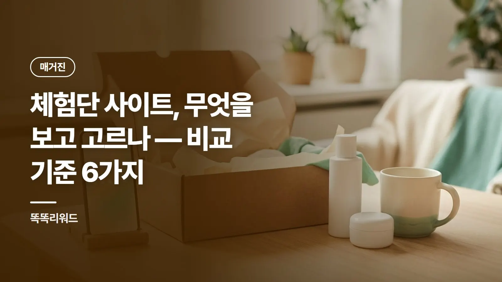 체험단 사이트, 무엇을 보고 고르나 — 비교 기준 6가지