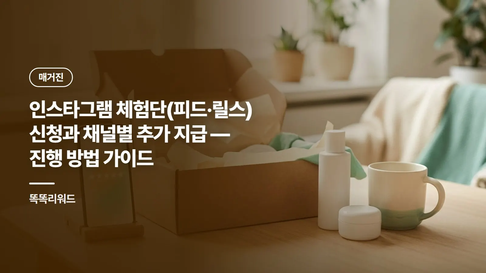 인스타그램 체험단(피드·릴스) 신청과 채널별 추가 지급 — 진행 방법 가이드