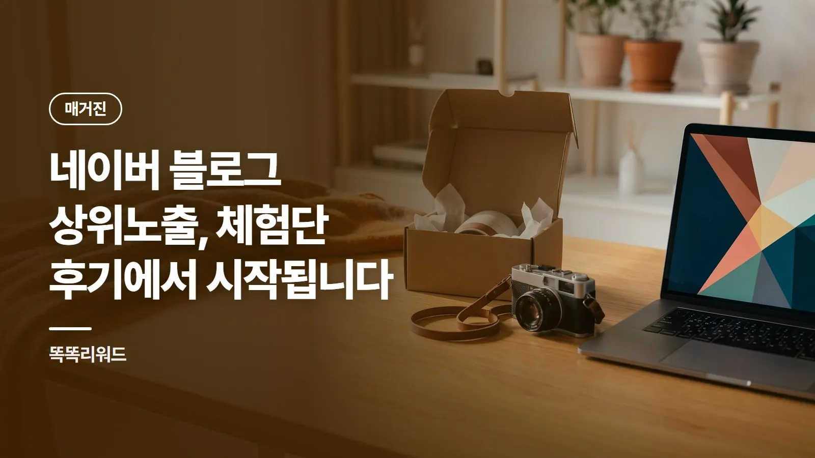 네이버 블로그 상위노출, 체험단 후기에서 시작됩니다