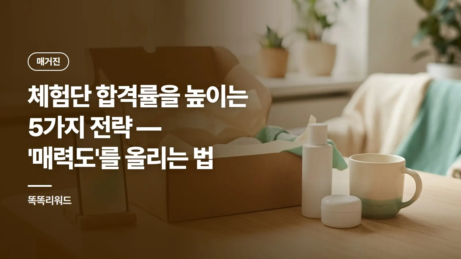 체험단 합격률을 높이는 5가지 전략 — '매력도'를 올리는 법