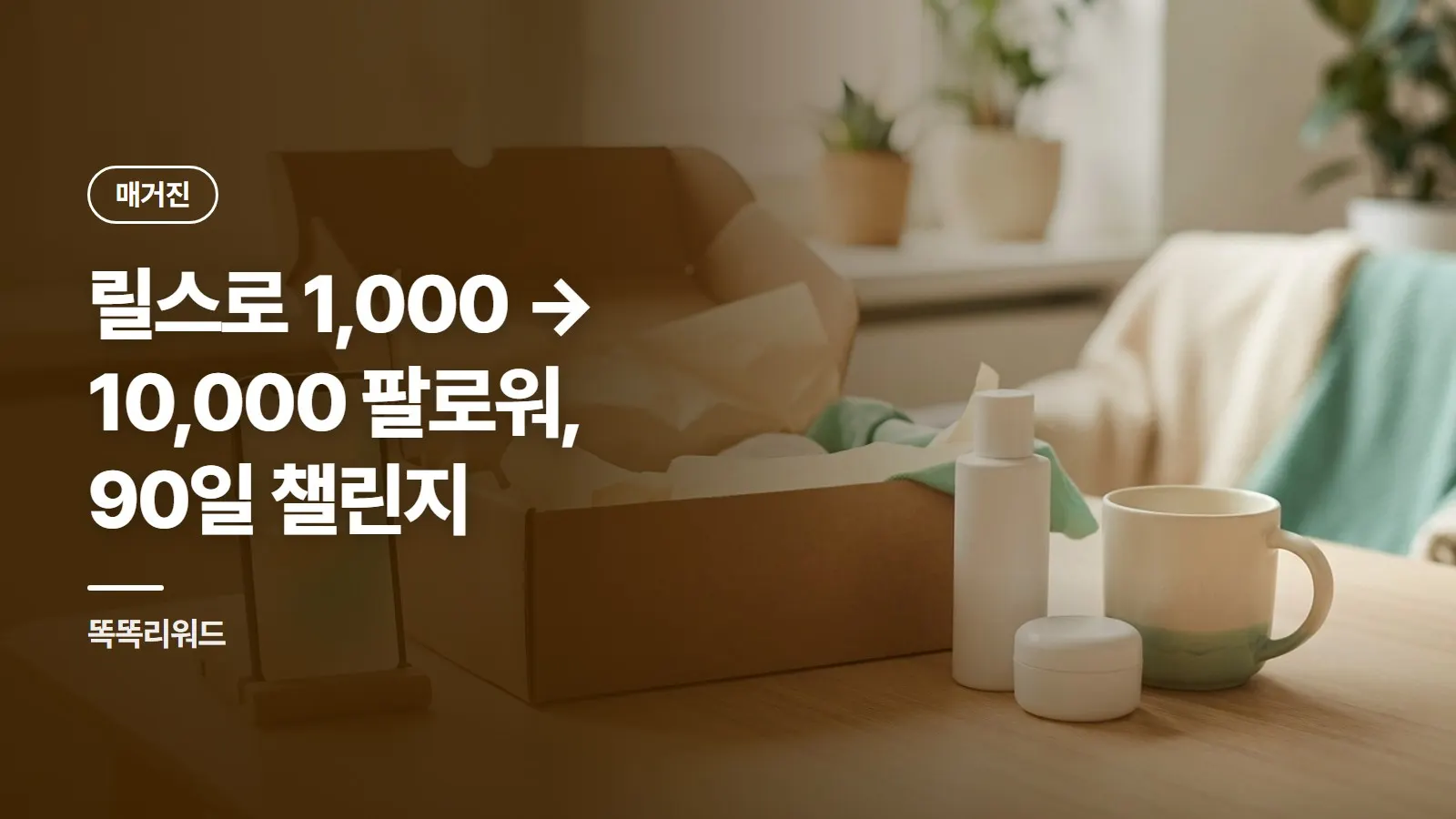 릴스로 1,000 → 10,000 팔로워, 90일 챌린지