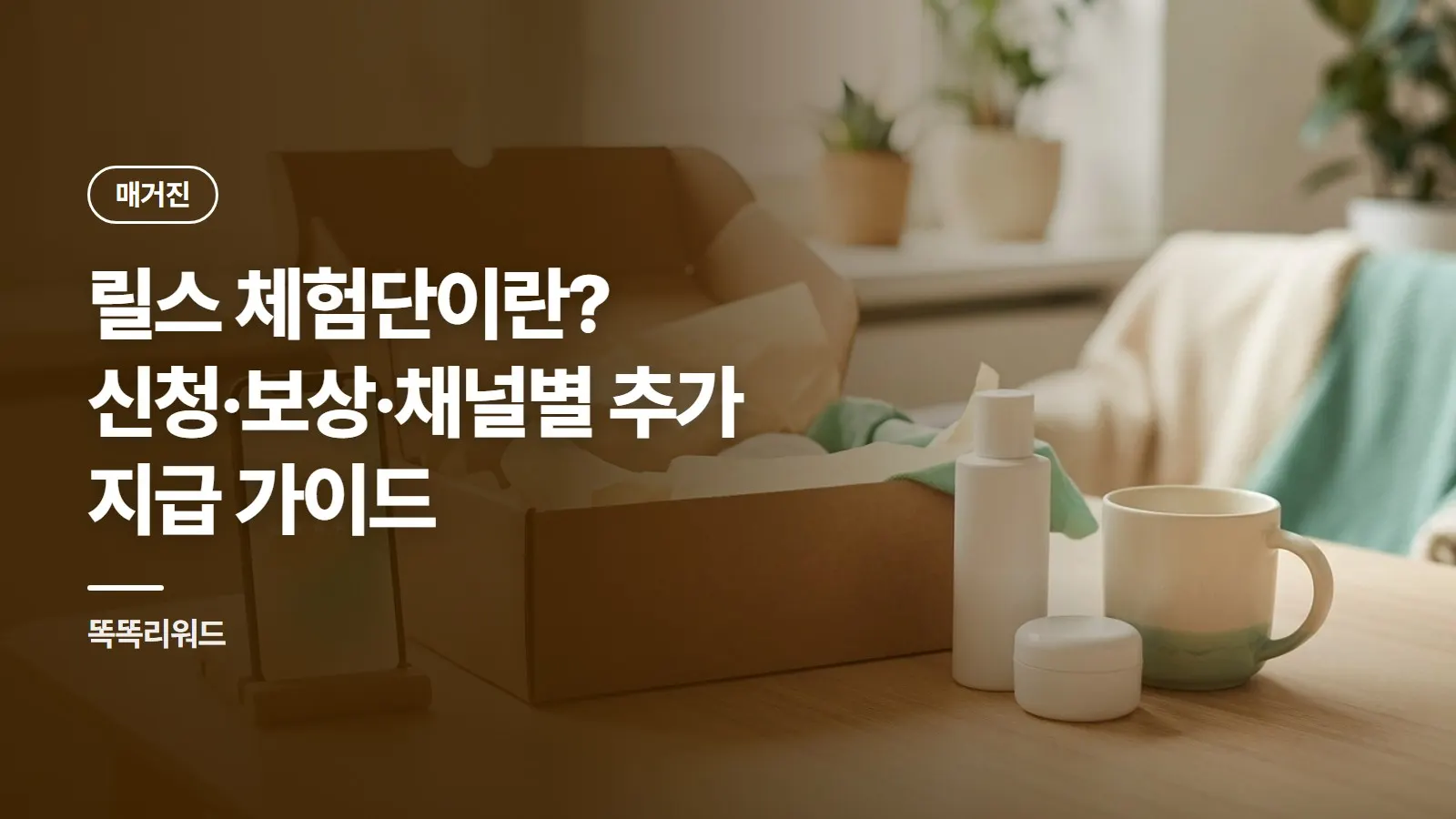 릴스 체험단이란? 신청·보상·채널별 추가 지급 가이드